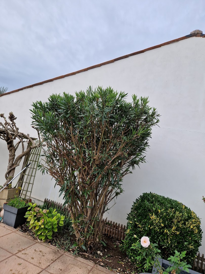 Gj Services — Photos 7